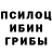 Псилоцибиновые грибы Psilocybe Daiil Ratavos