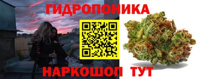 spice Волжск