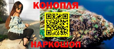 прущие грибы Волгодонск
