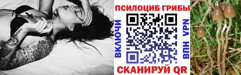 Псилоцибиновые грибы MAGIC MUSHROOMS  как найти закладки  Магнитогорск 