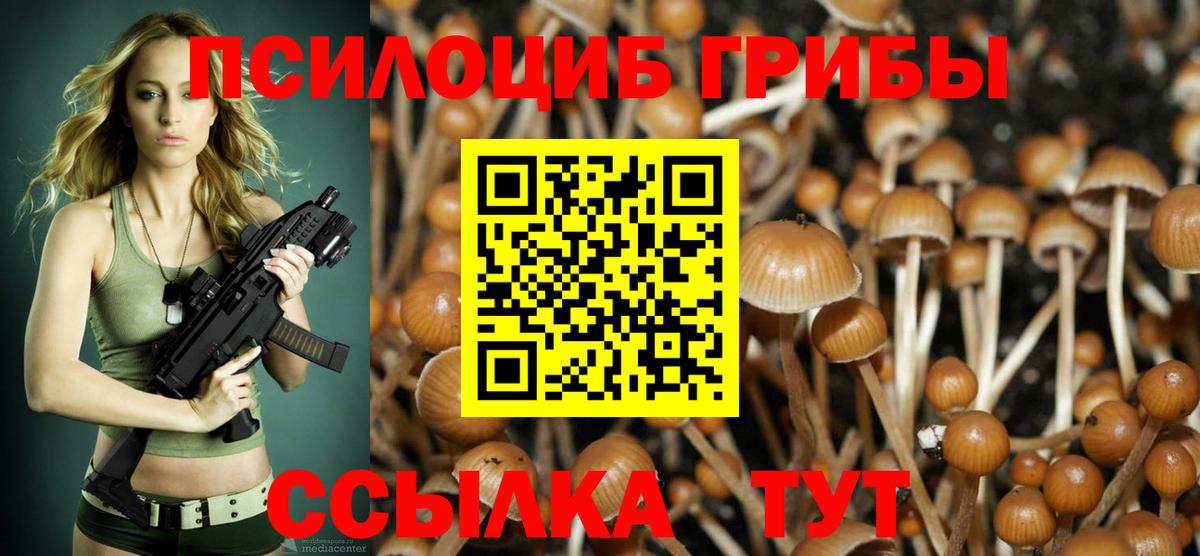 Галлюциногенные грибы мицелий  Псилоцибиновые грибы MAGIC MUSHROOMS  Магнитогорск  Вход с VPN 