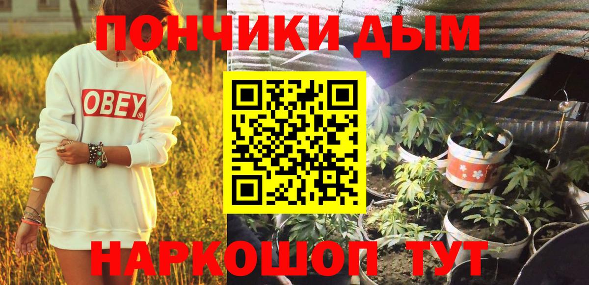 Шишки марихуана тримм  Бошки Шишки Amnesia  Вход с VPN  Магнитогорск  Бошки марихуана индика  МАРИХУАНА конопля 